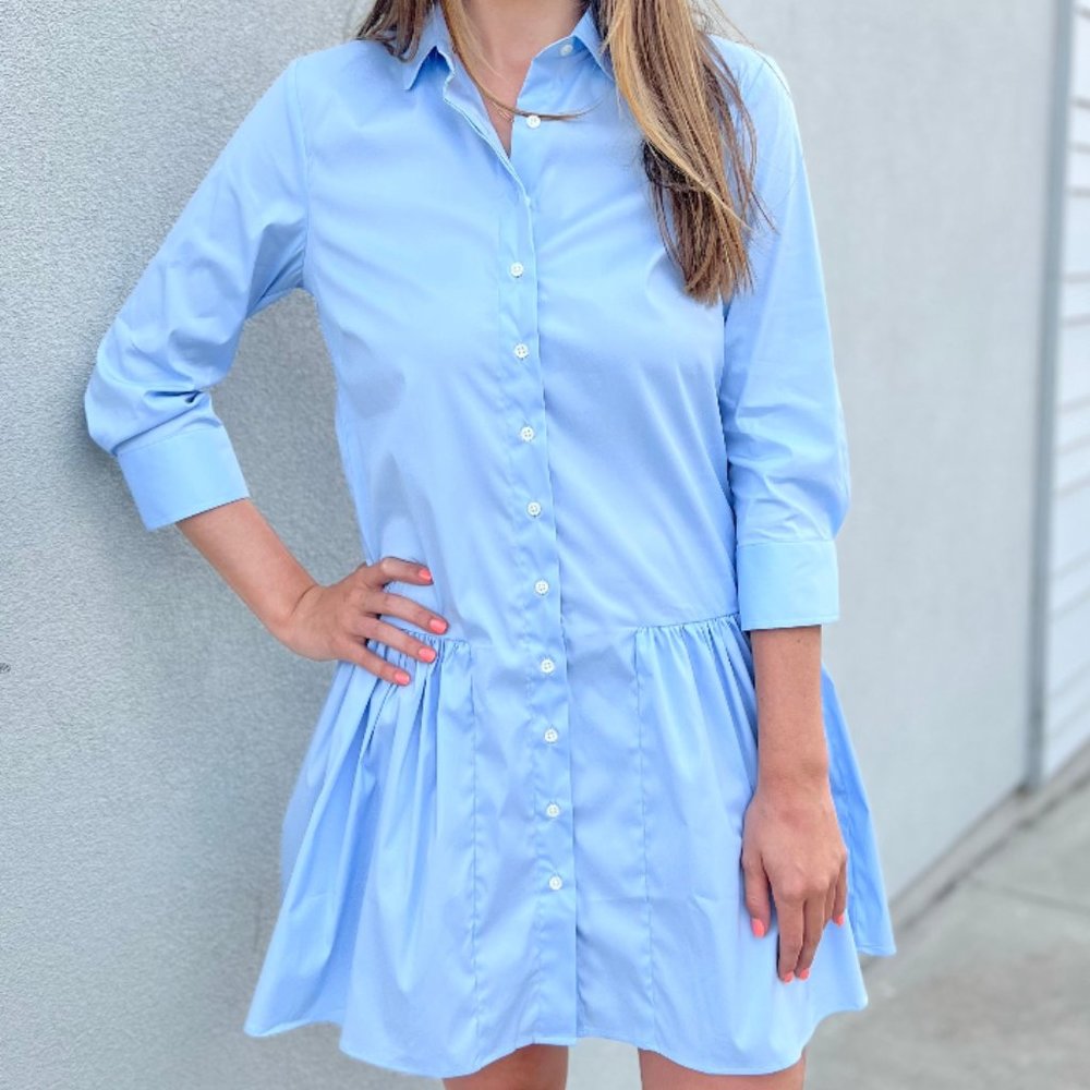 The Shirt by Rochelle Behrens drop waist shirt dress- blue check
